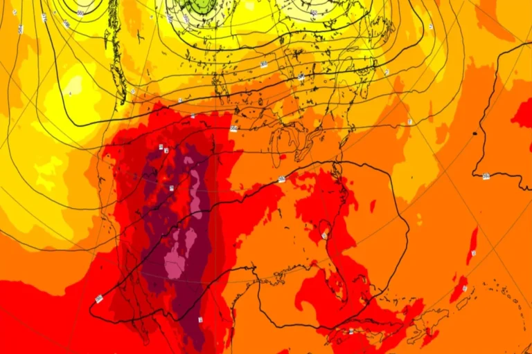 ECMWF Weather Model