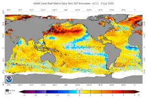 Read more about the article Understanding El Niño and La Niña Effects on U.S. Weather